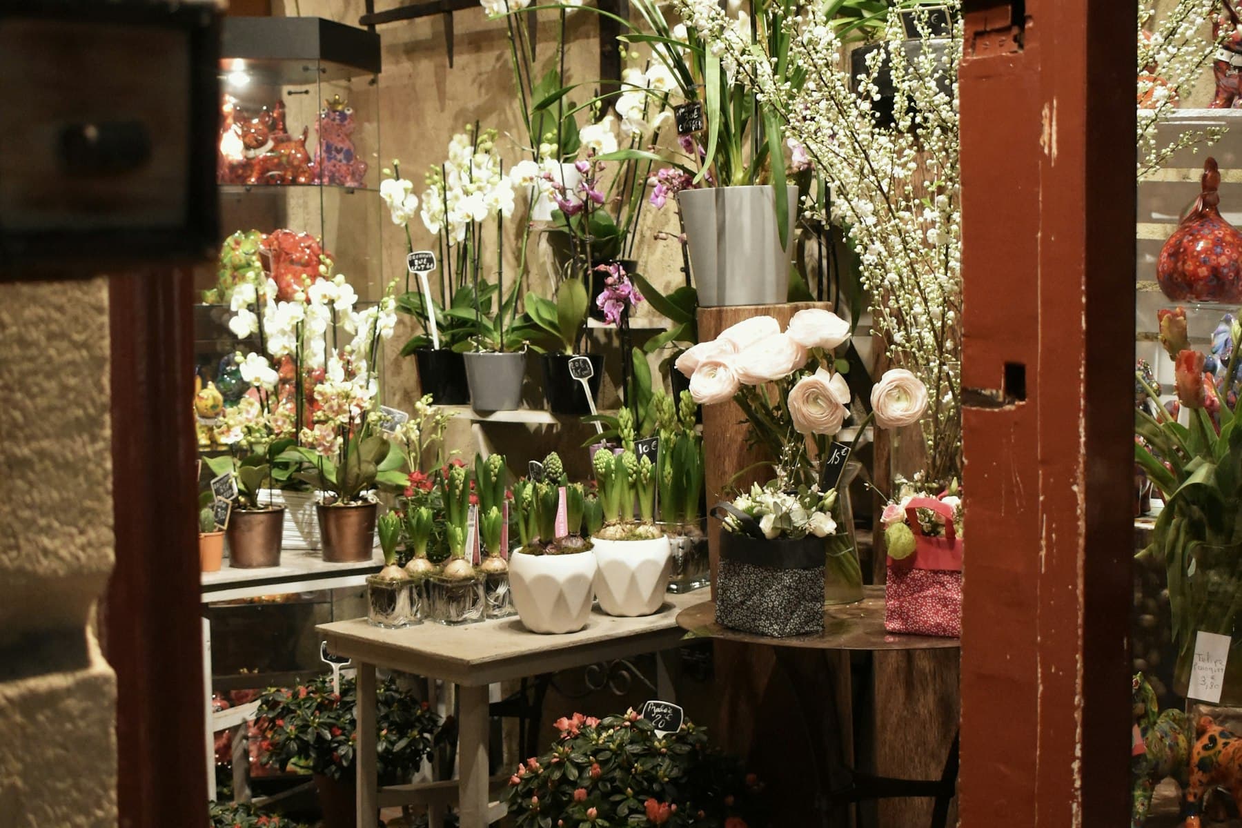 Wnętrze studia florystycznego Moon Flowers